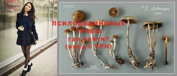 мет Рославль